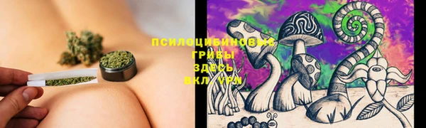 прущие крисы Абинск