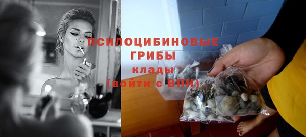 ПСИЛОЦИБИНОВЫЕ ГРИБЫ Мегион