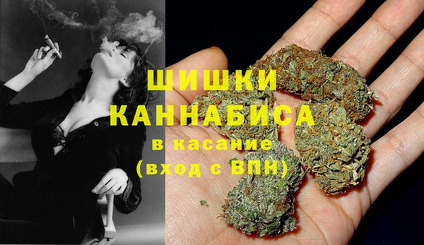 spice Медвежьегорск