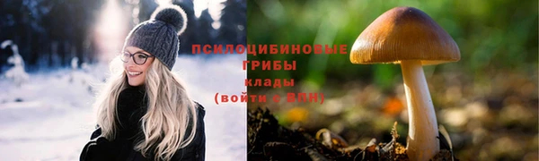 прущие крисы Абинск